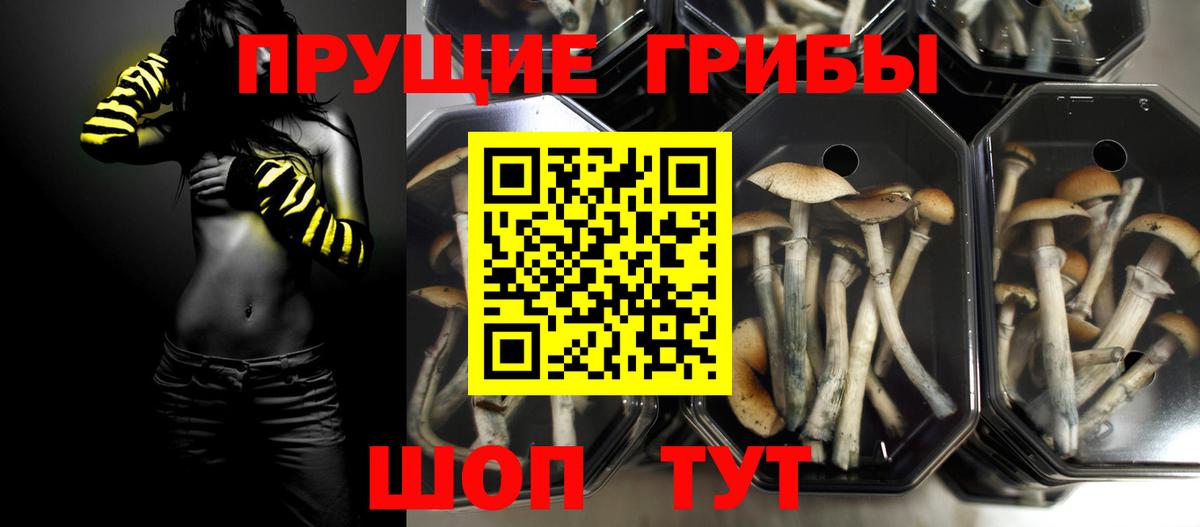 Кемерово  Псилоцибиновые грибы Magic Shrooms  Вход с VPN 